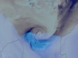 Small Swirly Skates Over the Ross Ice Shelf and Ross Sea