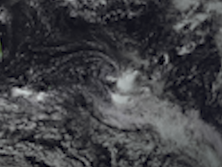 Tropical Cyclone Nine Forms