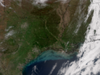 Spring Is Emerging in the Central Gulf States