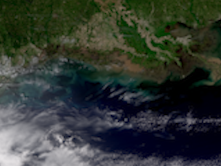 Sediment and Ocean Currents Along the Gulf Coast