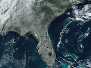 Daytime Cumulus Clouds Over Land in Florida and South Carolina